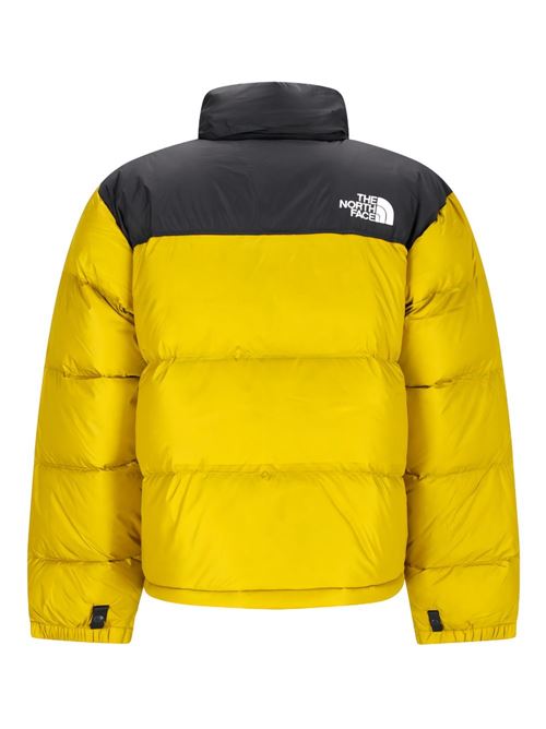 Piumino uomo Nuptse NORTH FACE | NF0A3C8DDCO